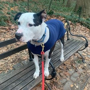 Meet your Posher, Ronald